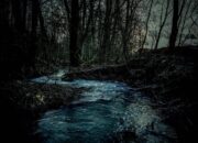 Makhluk Itu Muncul Saat Air Surut… dan Hanya di Sungai Ini