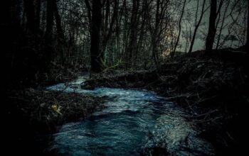 Makhluk Itu Muncul Saat Air Surut… dan Hanya di Sungai Ini