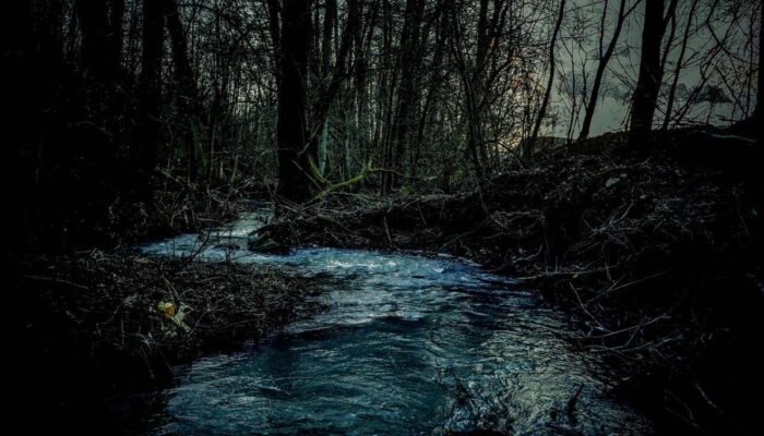 Makhluk Itu Muncul Saat Air Surut… dan Hanya di Sungai Ini